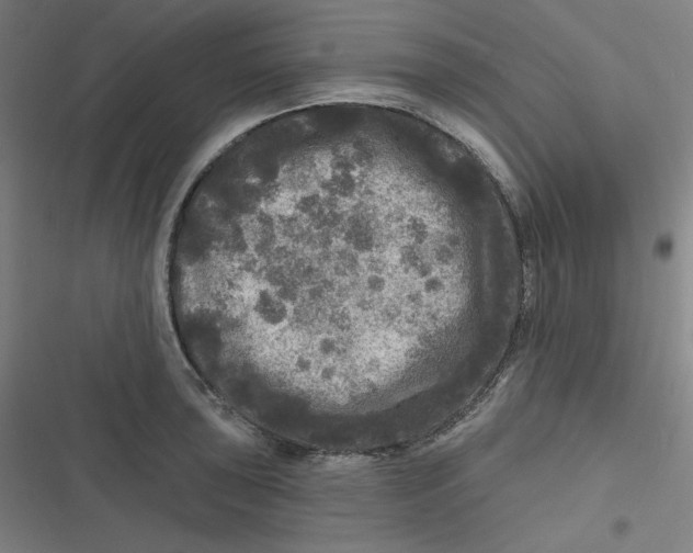 X0000116791043201001081309