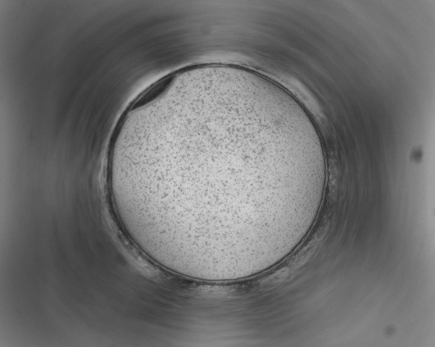 X0000116791044201001081309