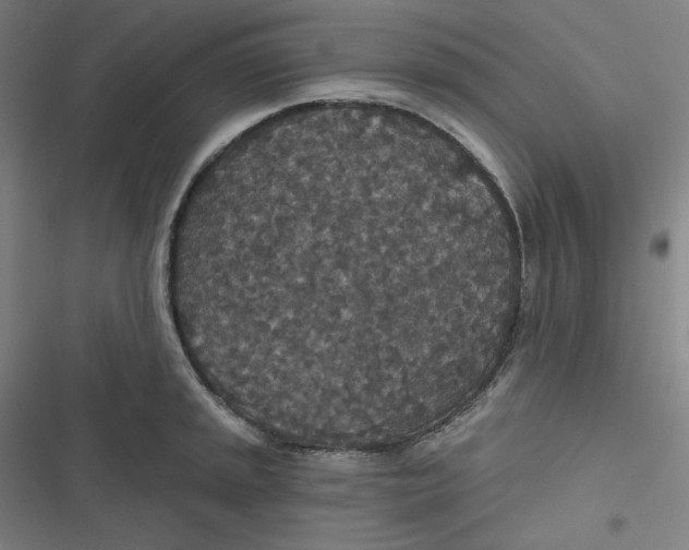 X0000116791045201001081309