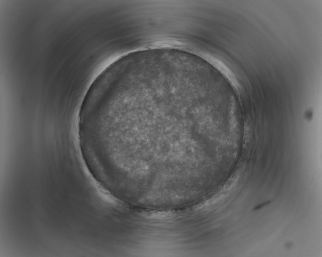 X0000116791047201001081309