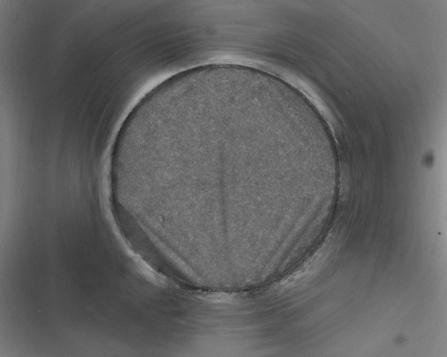 X0000116791048201001081309