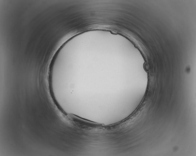 X0000116791050201001081309