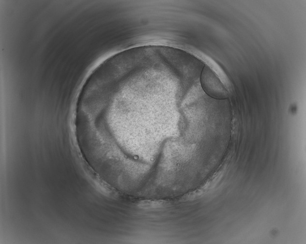 X0000116791051201001081309