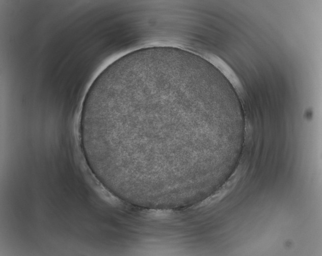 X0000116791052201001081309