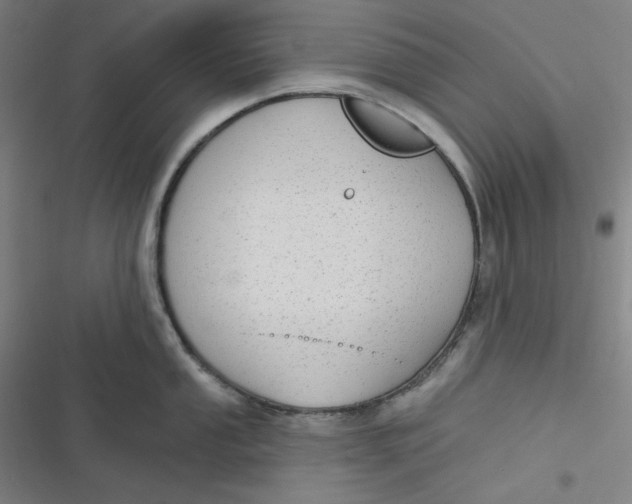 X0000116791053201001081309