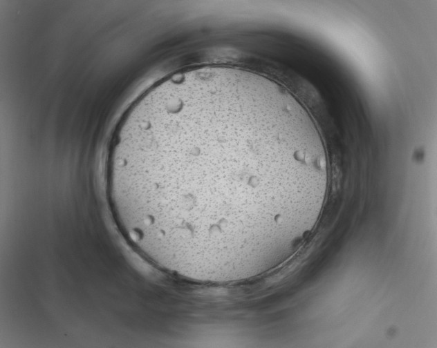 X0000116791054201001081309