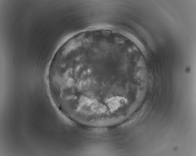 X0000116791055201001081309