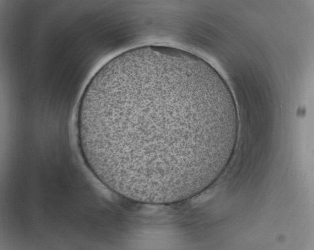 X0000116791056201001081309