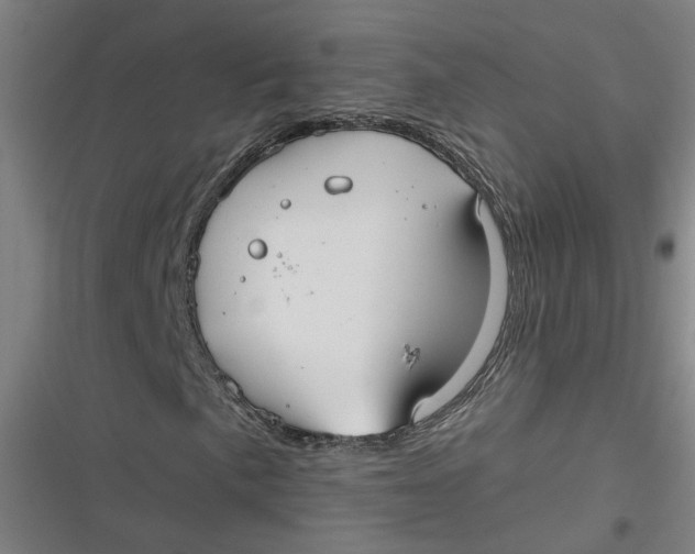 X0000116791057201001081309