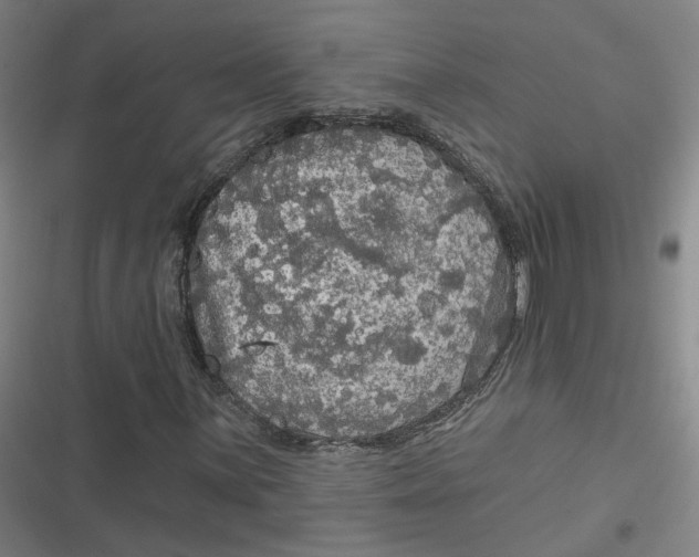 X0000116791059201001081309