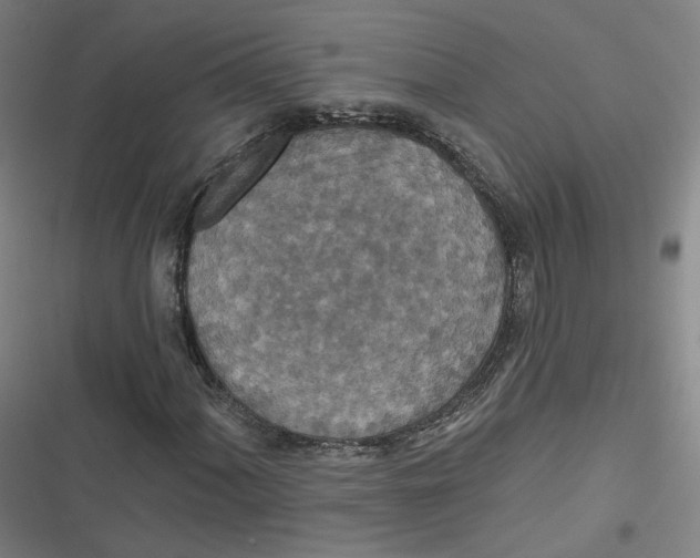 X0000116791060201001081309