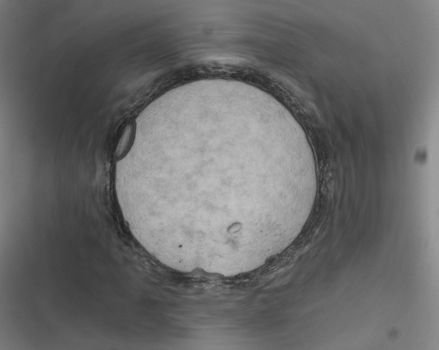 X0000116791061201001081309