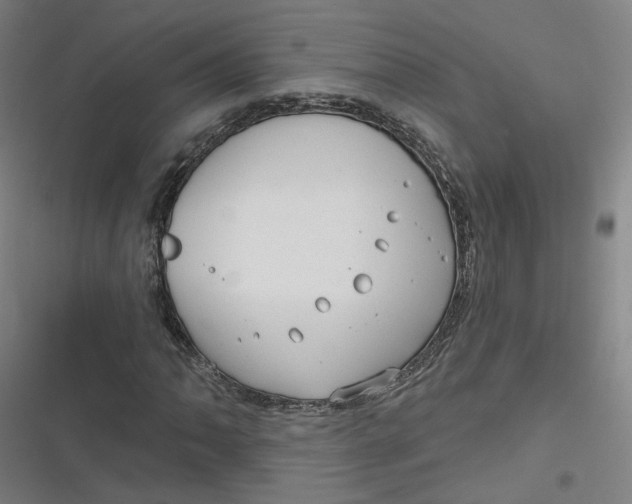 X0000116791062201001081309