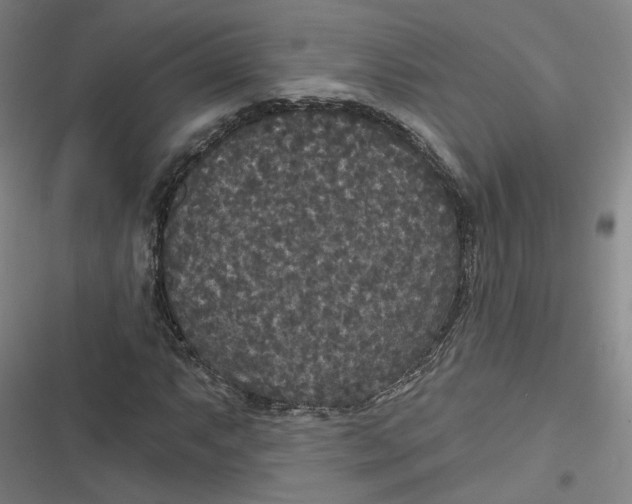 X0000116791063201001081309