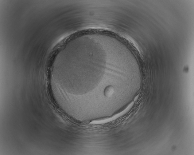 X0000116791064201001081309