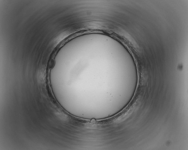 X0000116791065201001081309