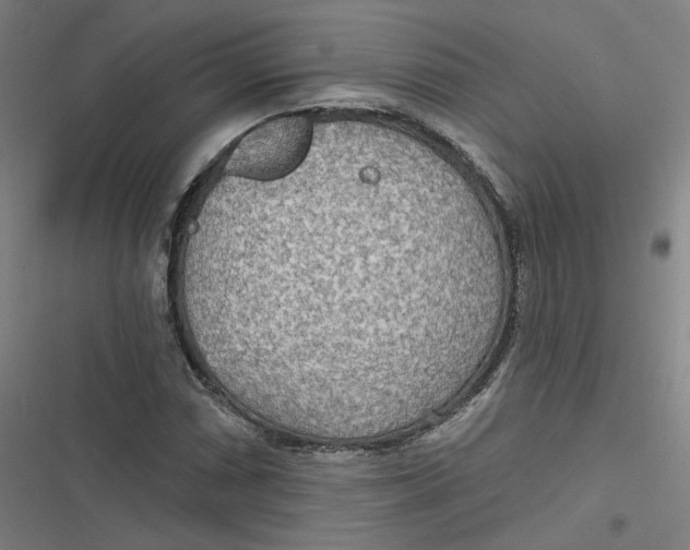 X0000116791066201001081309