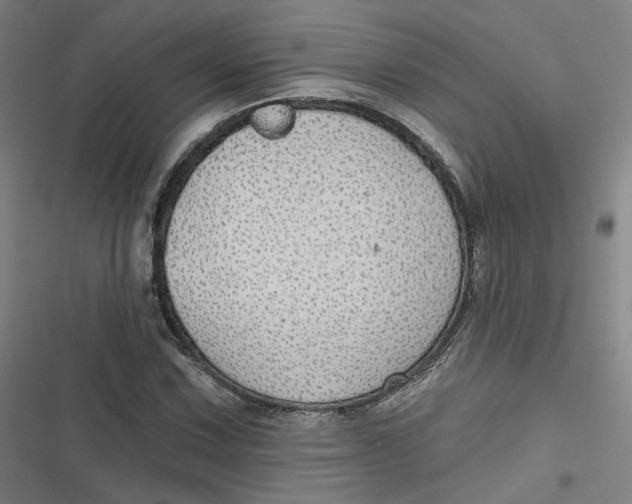 X0000116791067201001081309