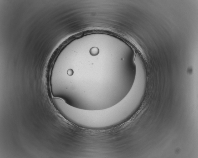 X0000116791068201001081309