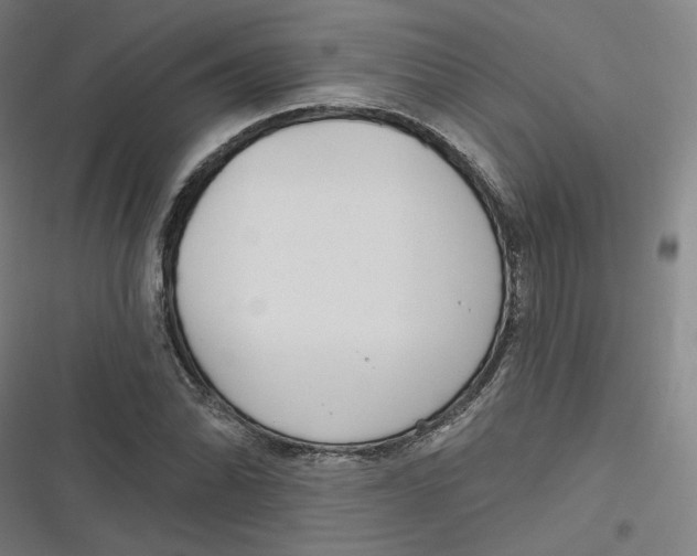 X0000116791070201001081309