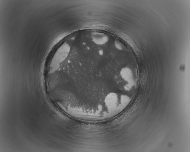 X0000116791071201001081309