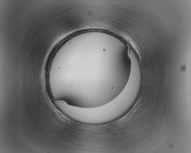 X0000116791072201001081309