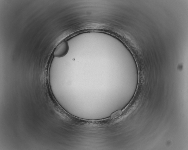 X0000116791073201001081308