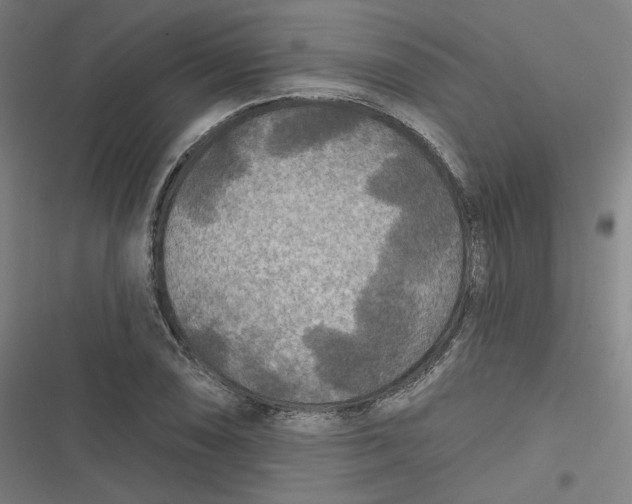 X0000116791074201001081308