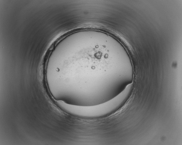 X0000116791075201001081308