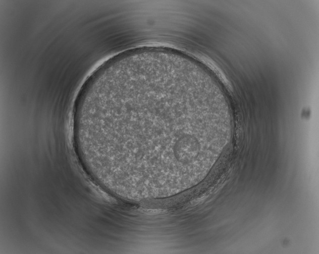 X0000116791076201001081308