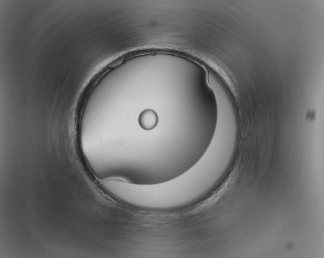 X0000116791077201001081308