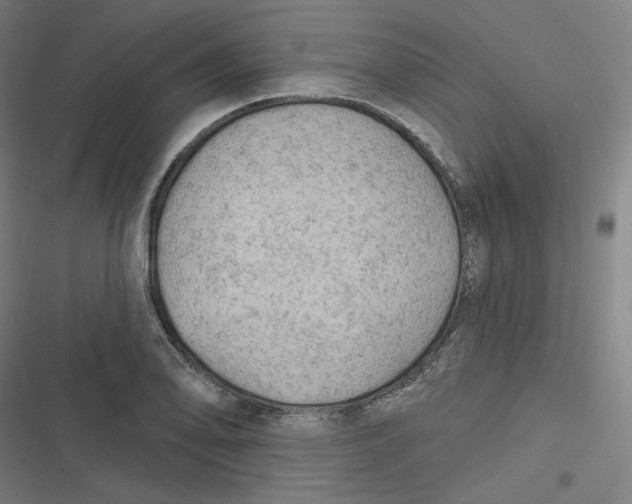 X0000116791078201001081308