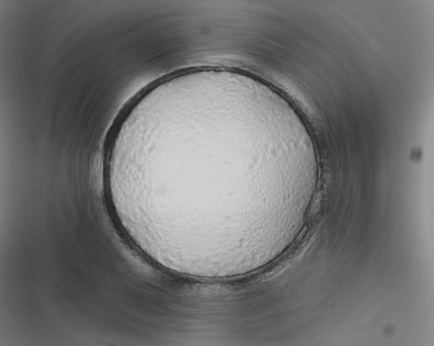 X0000116791079201001081308