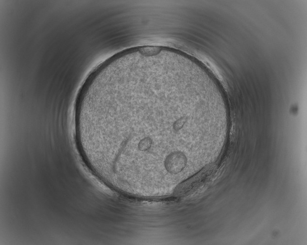 X0000116791080201001081308