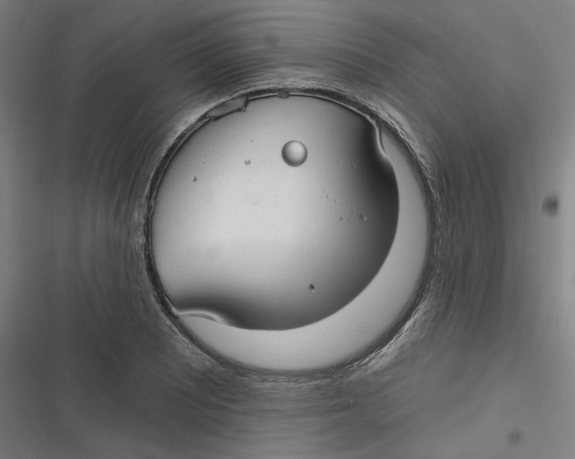 X0000116791081201001081308