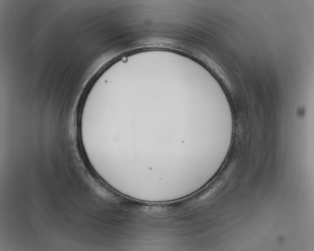 X0000116791082201001081308