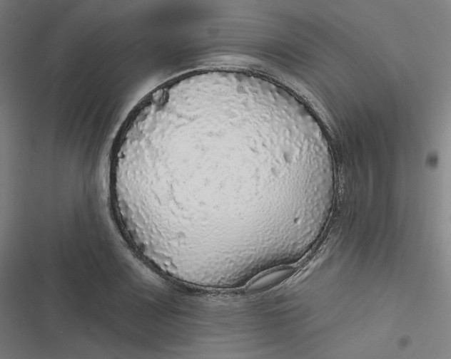 X0000116791083201001081308