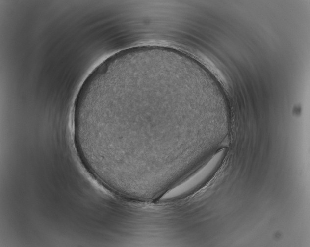 X0000116791084201001081308