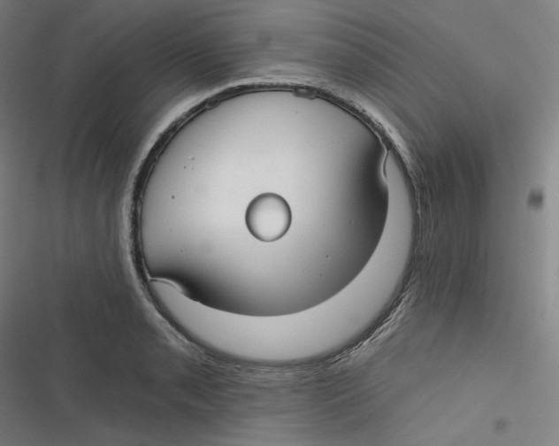 X0000116791085201001081308