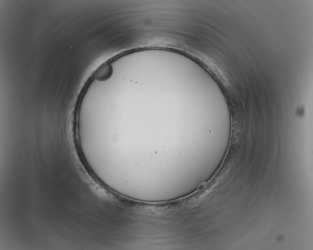 X0000116791086201001081308