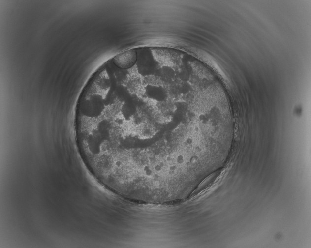 X0000116791087201001081308