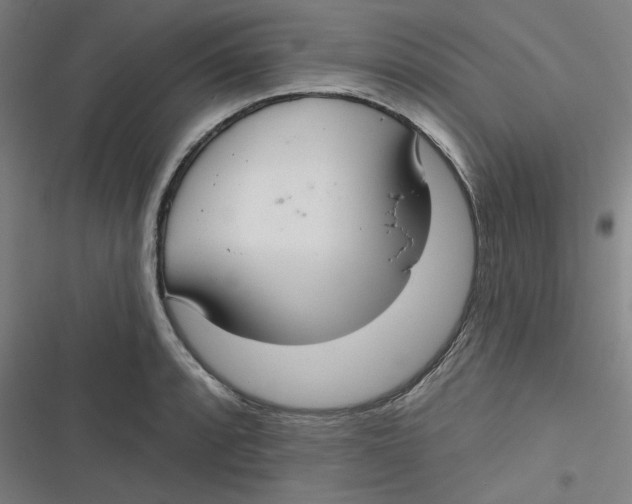 X0000116791088201001081308