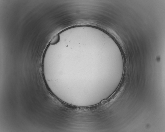 X0000116791089201001081308