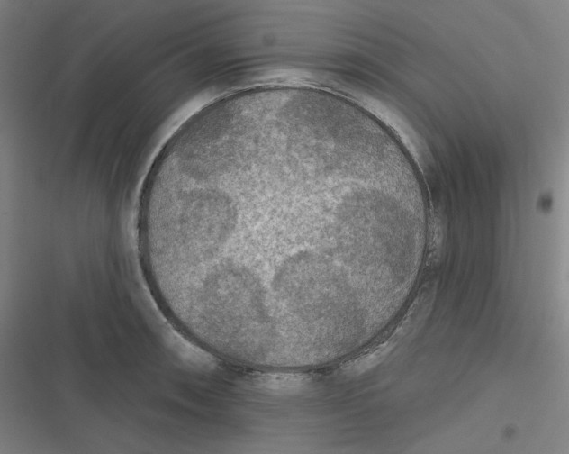 X0000116791090201001081308