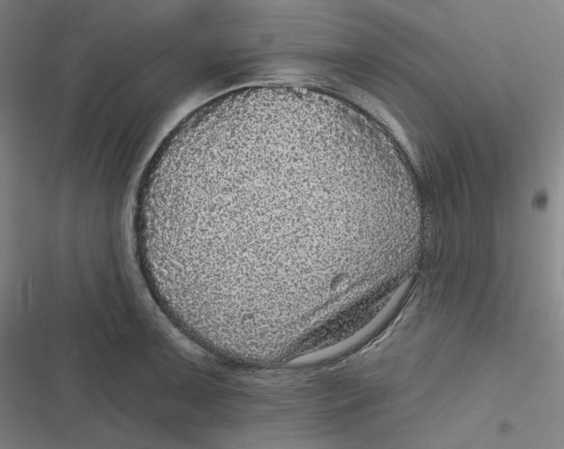 X0000116791091201001081308