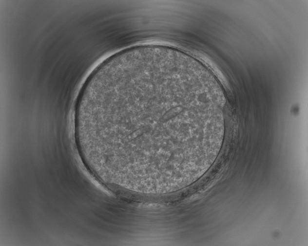 X0000116791092201001081308