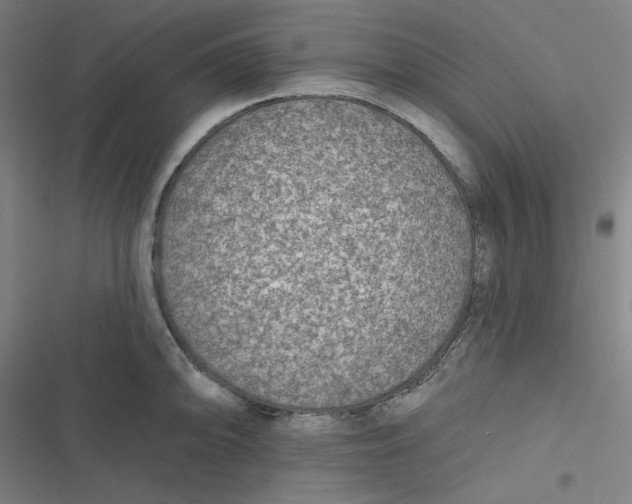 X0000116791094201001081308