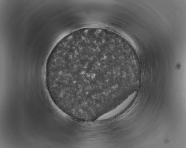 X0000116791095201001081308