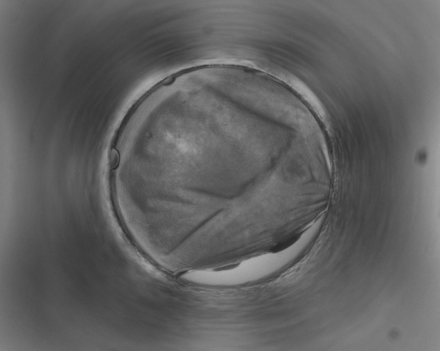 X0000116791096201001081308