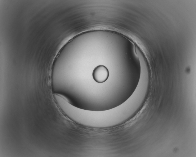 X0000116791097201001081308